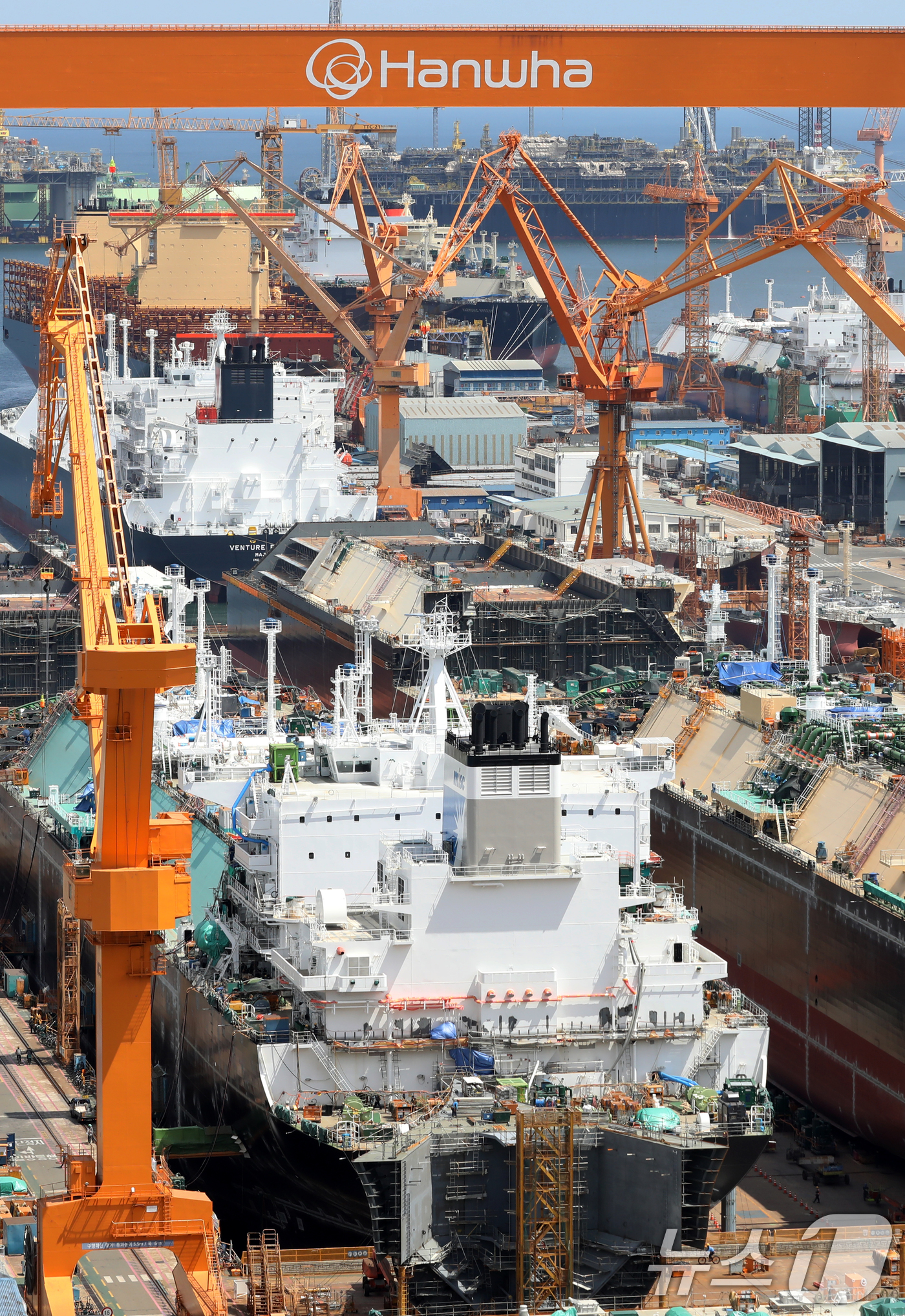 (거제=뉴스1) 윤일지 기자 = 한미 정상회담을 계기로 1500억 달러(약 208조 원) 규모의 '마스가(MASGA·미국 조선업을 다시 위대하게)' 프로젝트가 본격 시작된 가운데 …