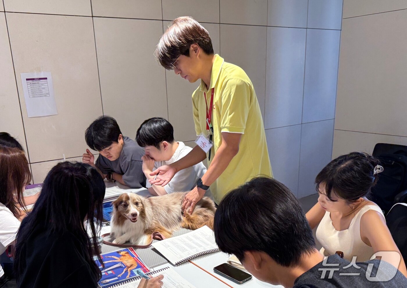 본문 이미지 - 치 유니버시티 한국지부는 24일 침술 실습 교육을 진행했다&#40;지부 제공&#41;. ⓒ 뉴스1