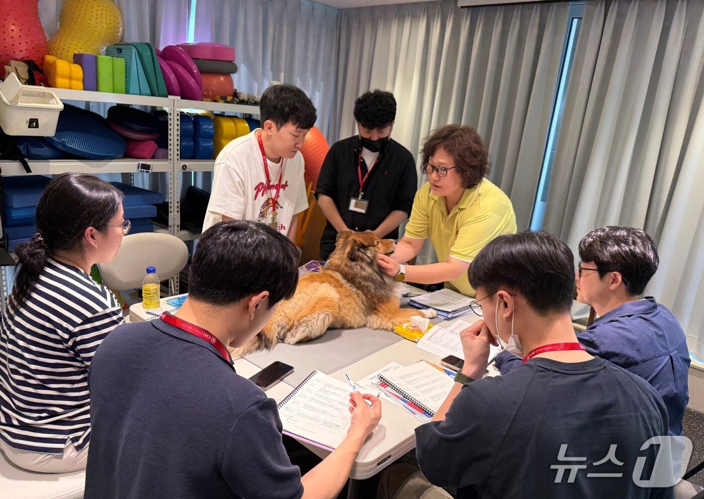 본문 이미지 - 치 유니버시티 한국지부는 24일 침술 실습 교육을 진행했다&#40;지부 제공&#41;. ⓒ 뉴스1