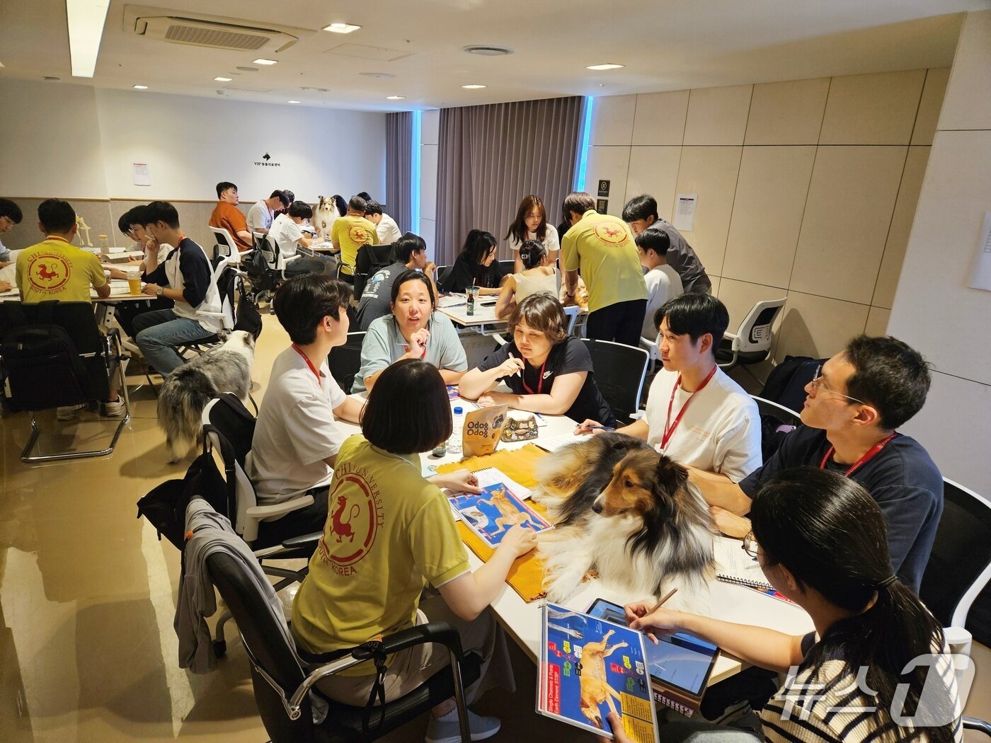 본문 이미지 - 치 유니버시티 한국지부는 24일 침술 실습 교육을 진행했다&#40;지부 제공&#41;. ⓒ 뉴스1