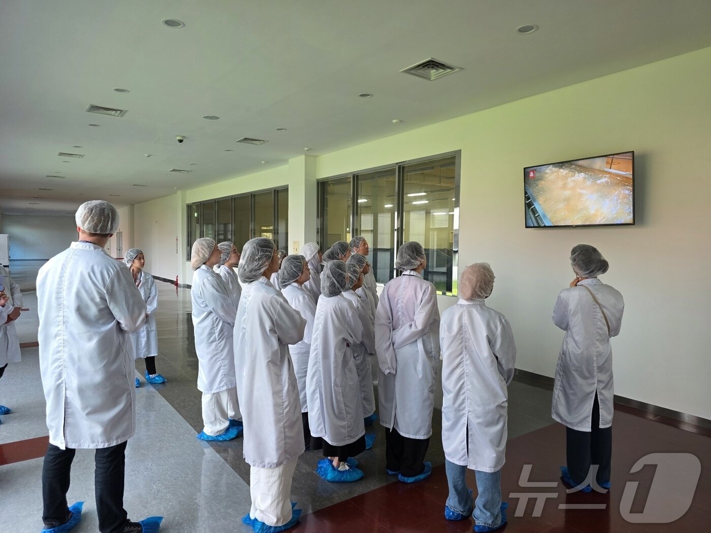 본문 이미지 - 2025 뉴스1 K-브랜드 글로벌 캠프 일환으로 KGC인삼공사 원주공장에서 견학을 진행했다. ⓒ News1 이형진 기자