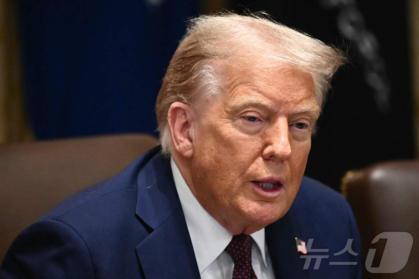 본문 이미지 - 도널드 트럼프 미국 대통령. ⓒ AFP=뉴스1 ⓒ News1  