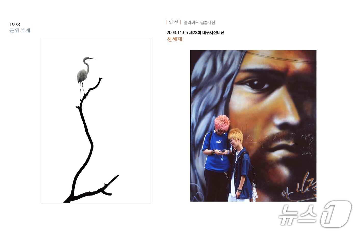 본문 이미지 - 1978년 군위 부계 백로(이종룡·왼쪽), 2003년 신세대(이승국). (작가 제공)