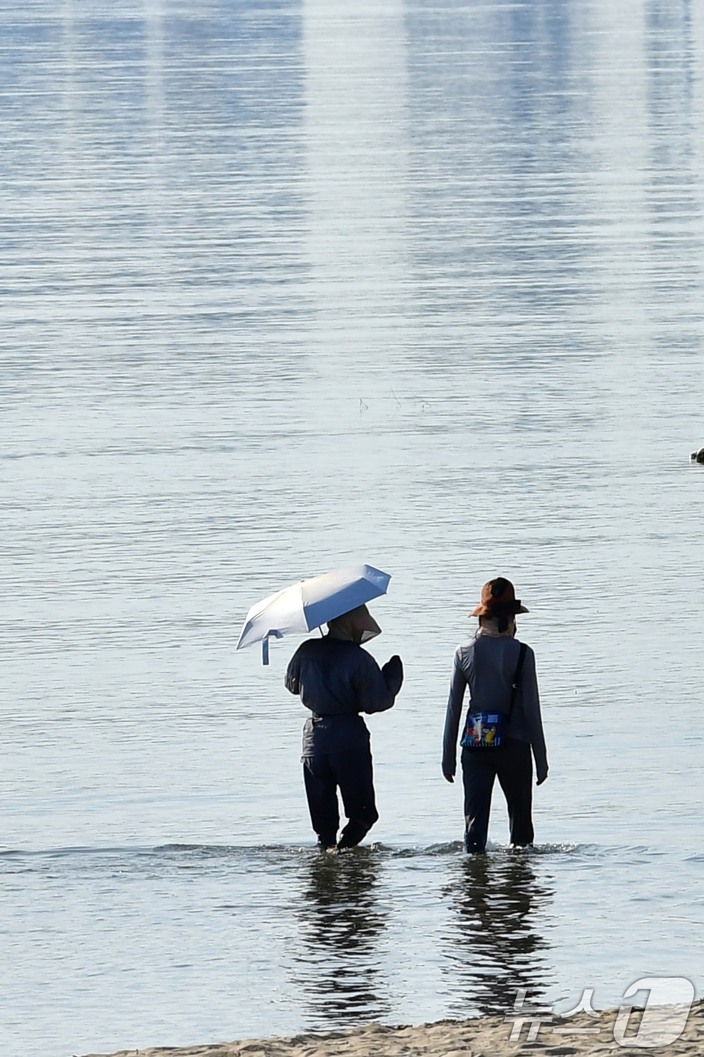 (포항=뉴스1) 최창호 기자 = 27일 경북 포항시 전역에 폭염 주의보가 발령 중인 가운데 북구 영일대해수욕장에서 시민들이 바닷물에 발을 담그고 걸어가고 있다.  2025.8.27 …