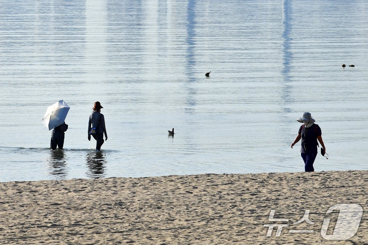 (포항=뉴스1) 최창호 기자 = 27일 경북 포항시 전역에 폭염 주의보가 발령 중인 가운데 북구 영일대해수욕장에서 시민들이 바닷물에 발을 담그고 걸어가고 있다. 2025.8.27/ …