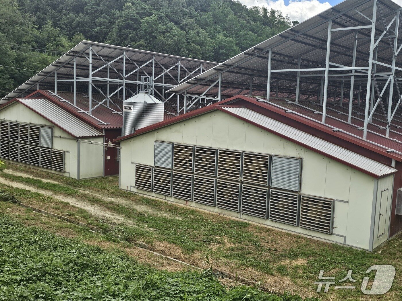 본문 이미지 - 8만마리의 닭을 사육하는 양계농장의 대형 환풍기가 민가쪽으로 바람을 뿜고 있다.2025.8.27/뉴스1 신성훈 기자