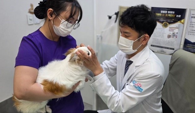 많이 본 뉴스