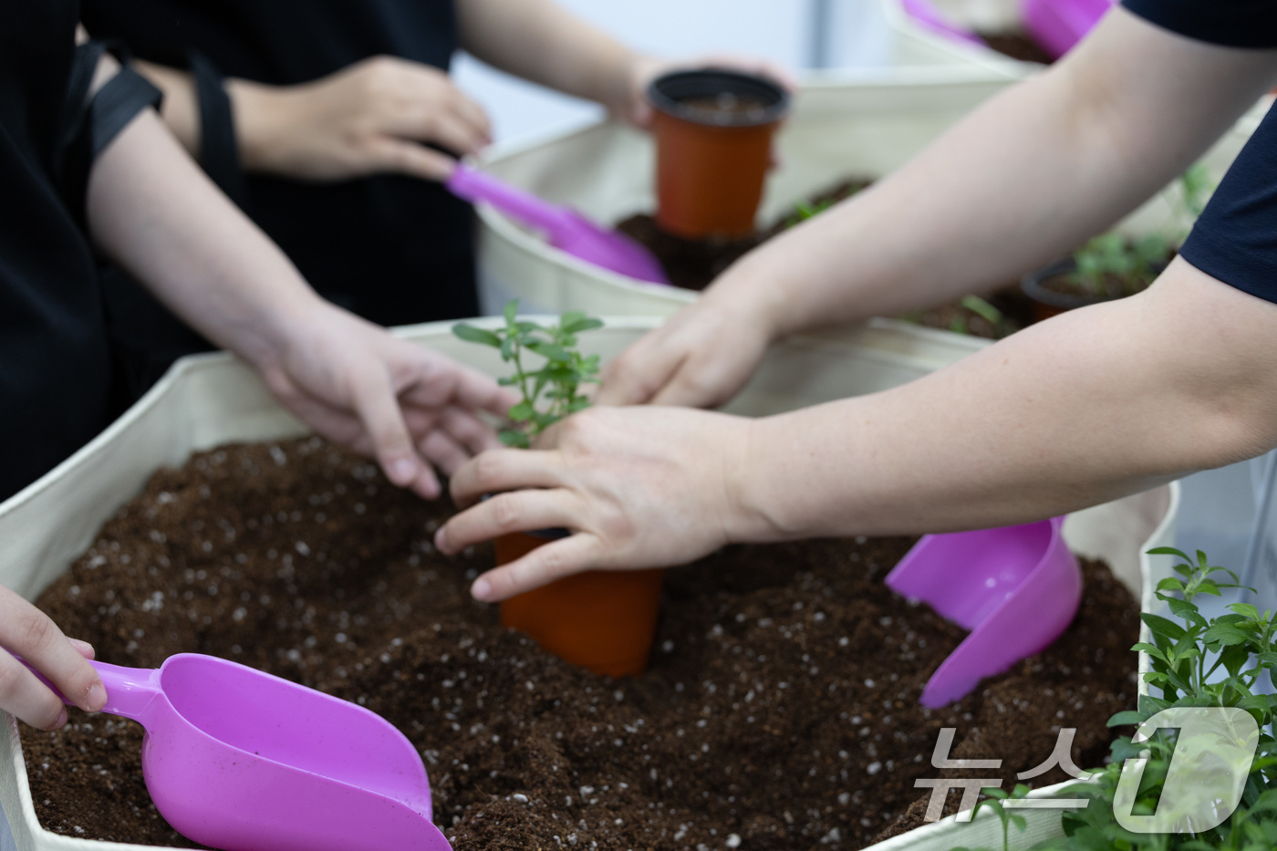 (고양=뉴스1) 이재명 기자 = 27일 경기도 고양시 일산동구 고양시청 백석별관에서 열린 고양 미래 진로박람회에서 농협대학교 부스를 찾은 학생들이 식물을 심고 있다. 2025.8. …