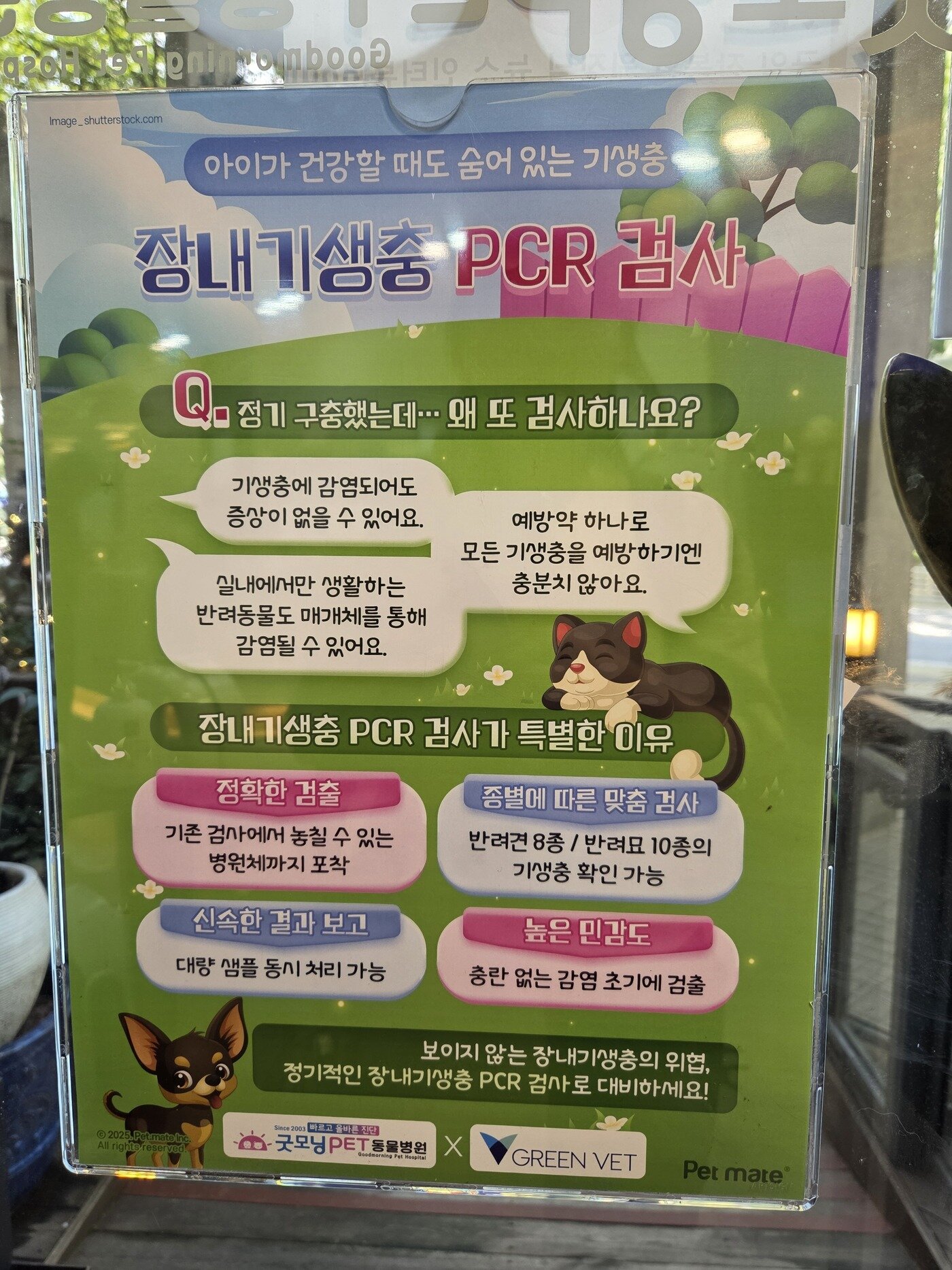 본문 이미지 - 그린벳 장내기생충 PCR 검사 안내 포스터가 동물병원 내 부착돼 있다. ⓒ 뉴스1 한송아 기자