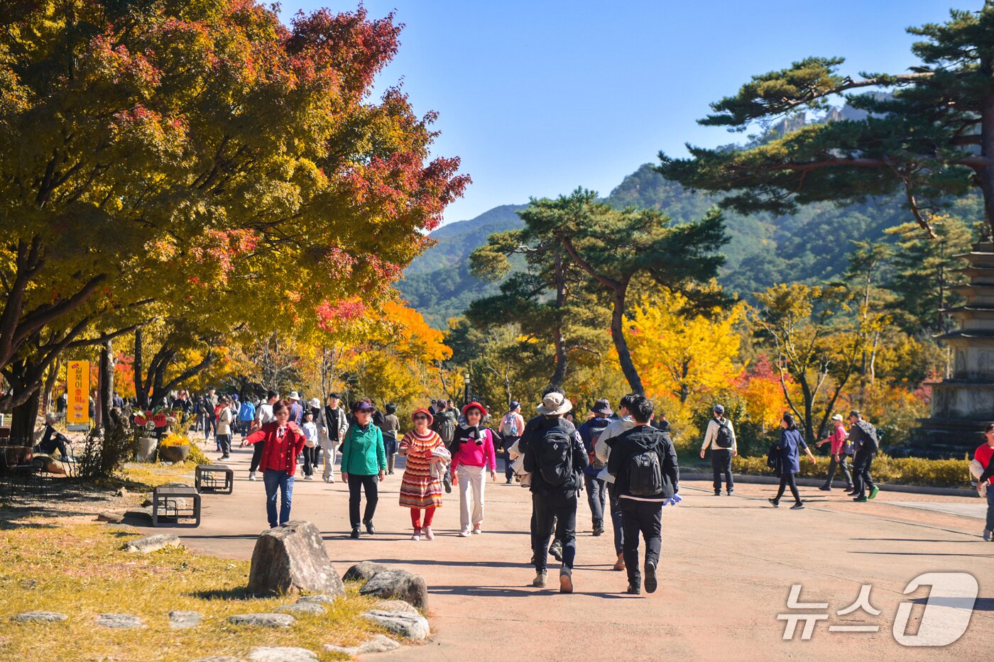 본문 이미지 - 설악산의 가을.&#40;속초시 제공, 재판매및 DB 금지&#41; 2025.8.27/뉴스1