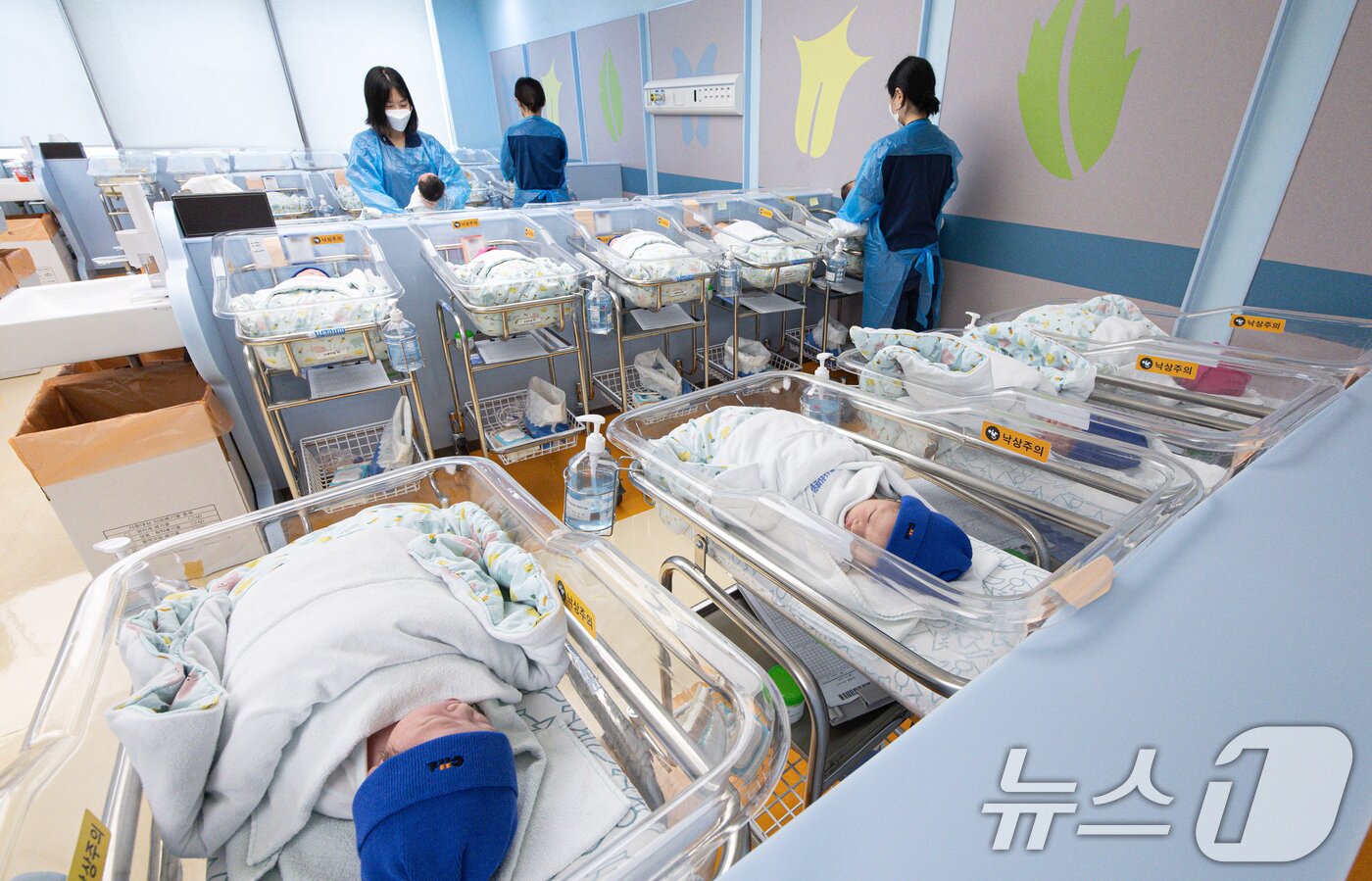 본문 이미지 - 경기도 고양시 일산동구 일산차병원 신생아실의 모습. 2025.8.27/뉴스1 ⓒ News1 이재명 기자