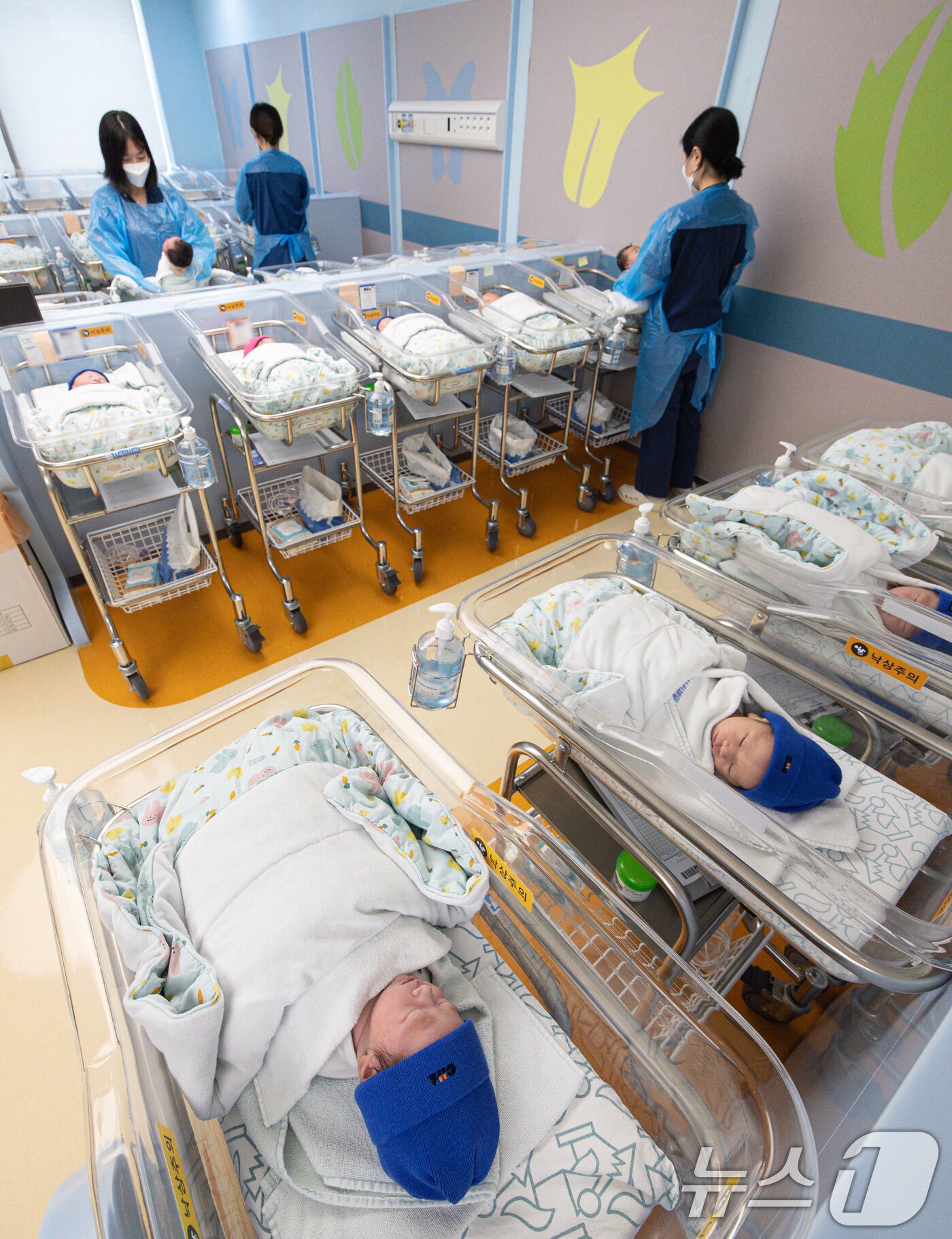 본문 이미지 - 경기도 고양시 일산동구 일산차병원 신생아실의 모습. 2025.8.27/뉴스1 ⓒ News1 이재명 기자