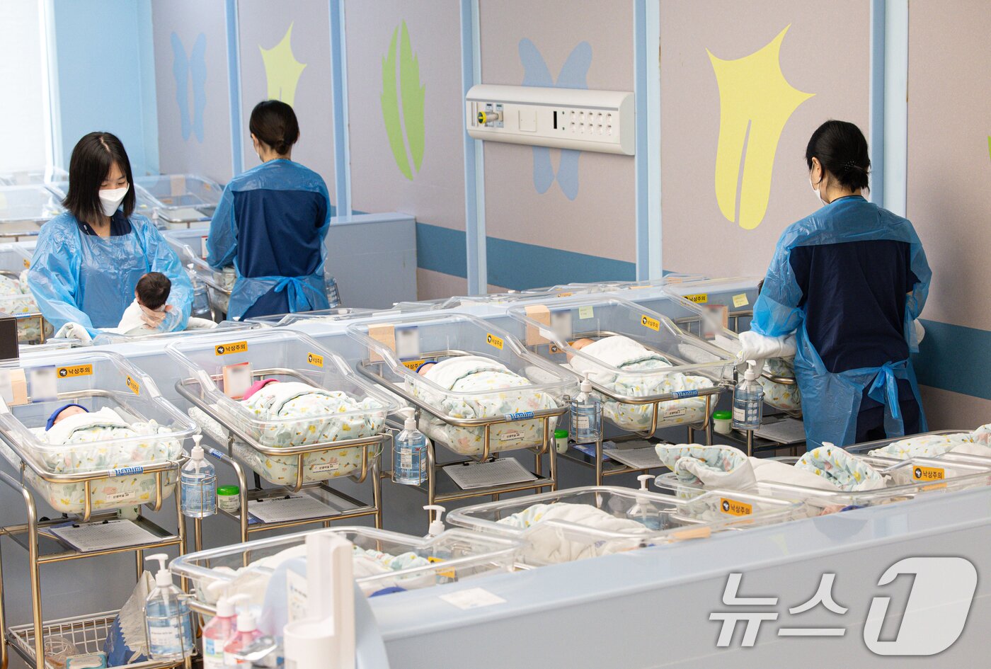 본문 이미지 - 경기도 고양시 일산동구 일산차병원 신생아실의 모습. ⓒ News1 이재명 기자