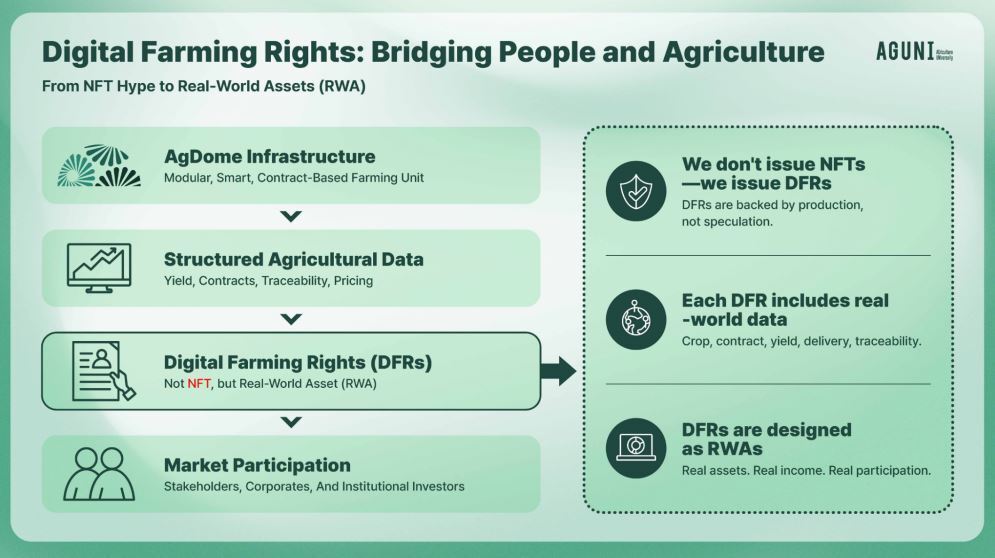 본문 이미지 - 디지털 경작권 모델 / 애그유니 제공