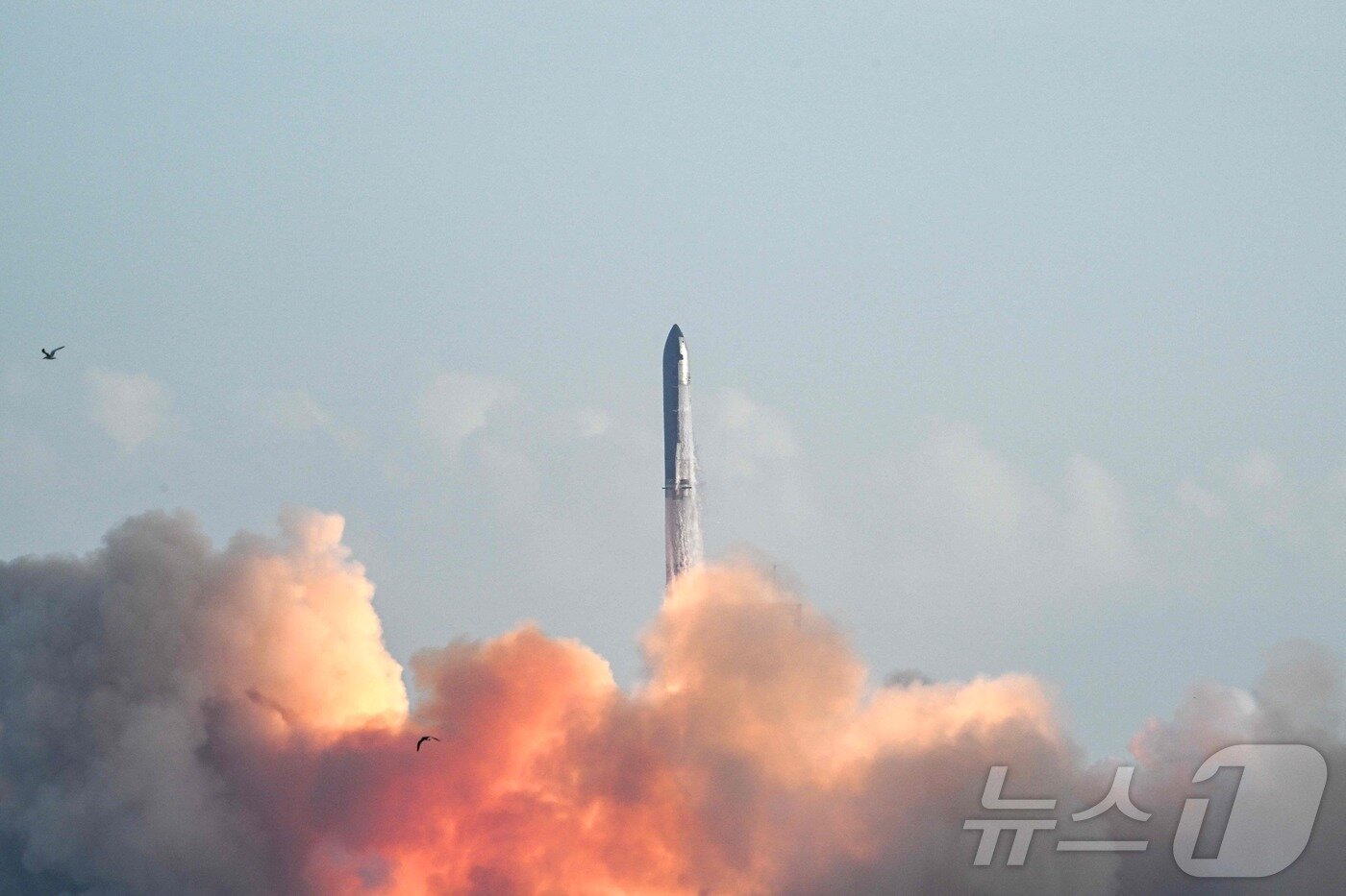 본문 이미지 - 스페이스X의 대형 우주선 '스타십'이 26일(현지시간) 10번째 지구궤도 시험 비행을 성공적으로 마쳤다고 AFP 통신이 보도했다. ⓒ AFP=뉴스1 ⓒ News1 김경민 기자