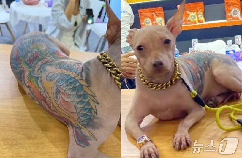 본문 이미지 - 관련 시각물 - SCMP 갈무리