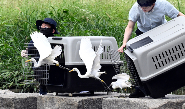 광주시, 올해 수달·팔색조 등 야생동물 700여마리 구조