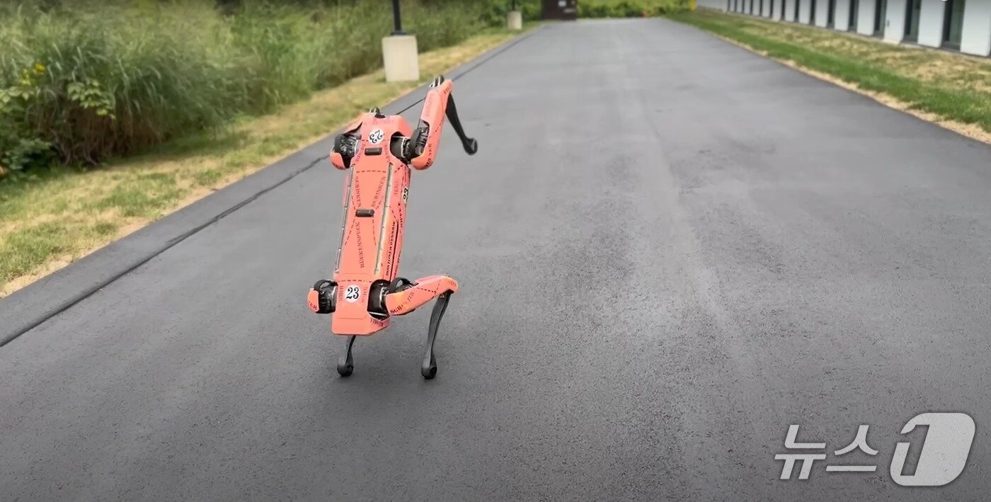 본문 이미지 - 27일 보스턴다이나믹스 게재 영상에서 스팟이 백 덤블링을 하는 모습 (보스턴다이나믹스 유튜브 채널) 