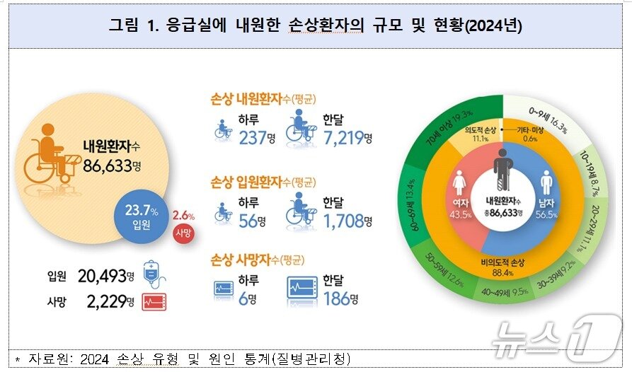 본문 이미지 - 응급실에 내원한 손상환자의 규모 및 현황&#40;질병관리청 제공&#41;