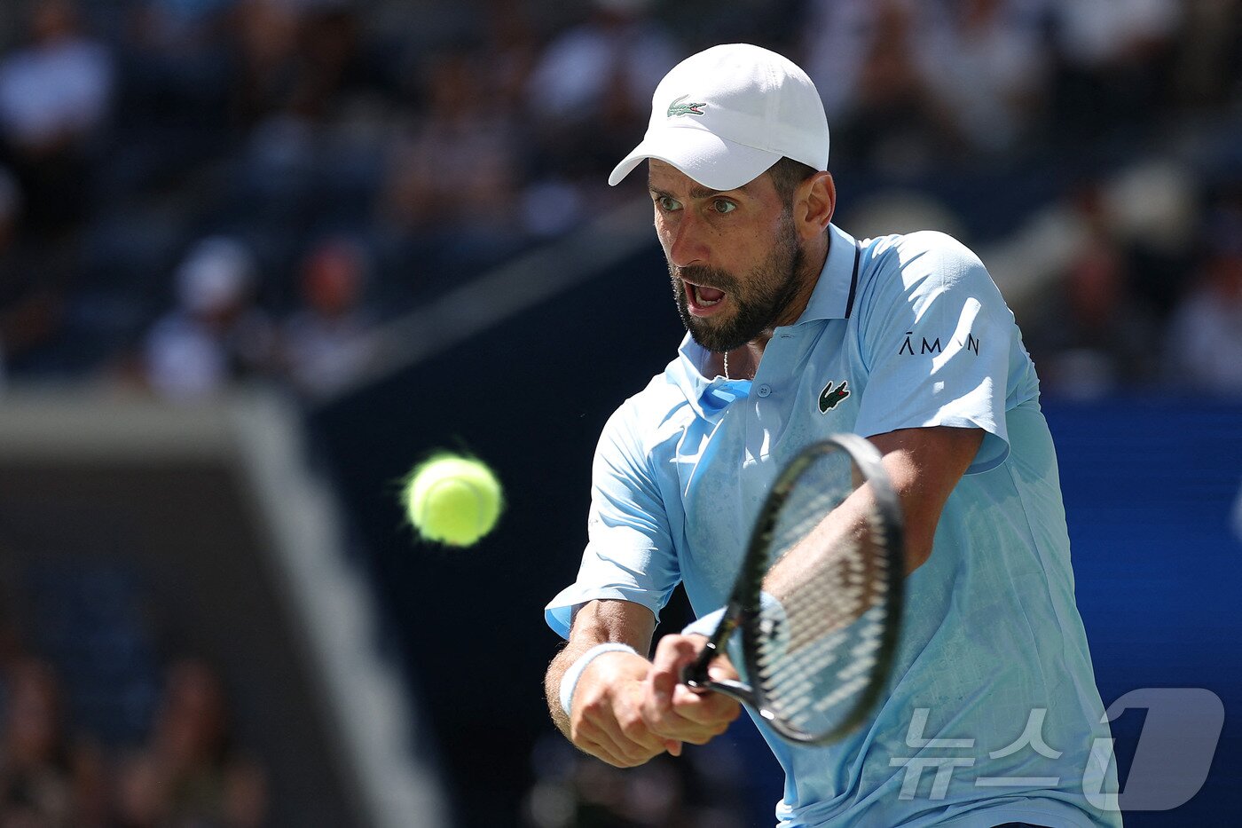 본문 이미지 - 노박 조코비치. ⓒ AFP=뉴스1