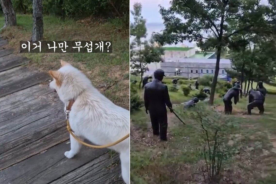 본문 이미지 - 산책 중 사람 형상의 동상 무리를 발견하고 겁 먹은 행복이(인스타그램 lucky._1004 제공) ⓒ 뉴스1