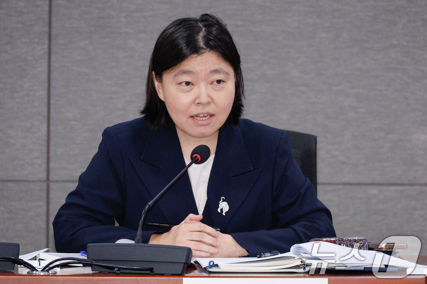 본문 이미지 - 공청회 발언하는 임은정 검사장. 2025.8.29/뉴스1 ⓒ News1 안은나 기자