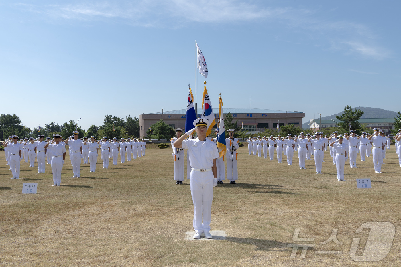 (창원=뉴스1) 윤일지 기자 = 29일 경남 창원시 진해구 해군교육사령부 연병장에서 열린 제288기 부사관후보생 임관식에서 신임 부사관들이 거수 경례를 하고 있다. (해군교육사령부 …