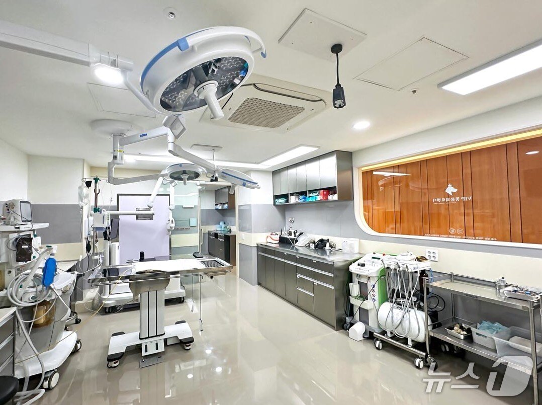 본문 이미지 - VIP동물의료센터 청담점 치과 내부(동물병원 제공) ⓒ 뉴스1