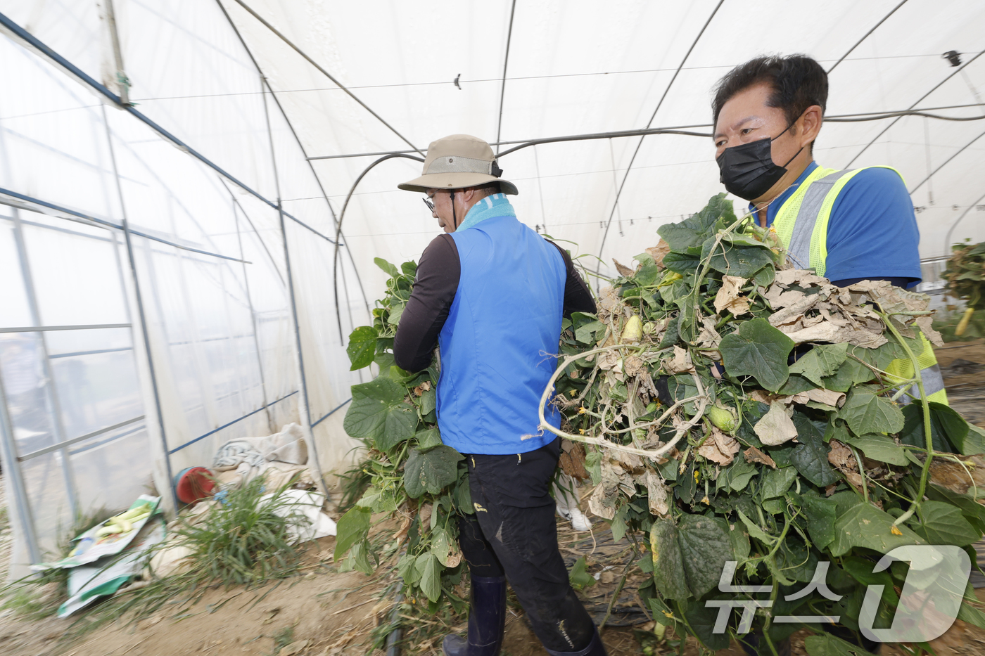 (나주=뉴스1) 김태성 기자 = 정청래 더불어민주당 당대표가 3일 전남 나주시 노안면 수해 피해 현장을 찾아 복구 지원활동을 하고있다. 2025.8.3/뉴스1