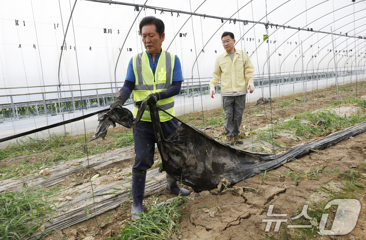 (나주=뉴스1) 김태성 기자 = 정청래 더불어민주당 당대표가 3일 전남 나주시 노안면 수해 피해 현장을 찾아 복구 지원활동을 하고있다. 2025.8.3/뉴스1