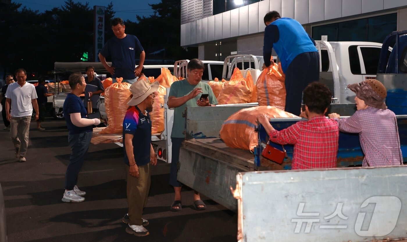 본문 이미지 - 3일 새벽 문을 연 충북 괴산 '홍고추 직거래시장'에서 개장에 앞서 농가들이 분주히 움직이고 있다.(괴산군 제공)/뉴스1 