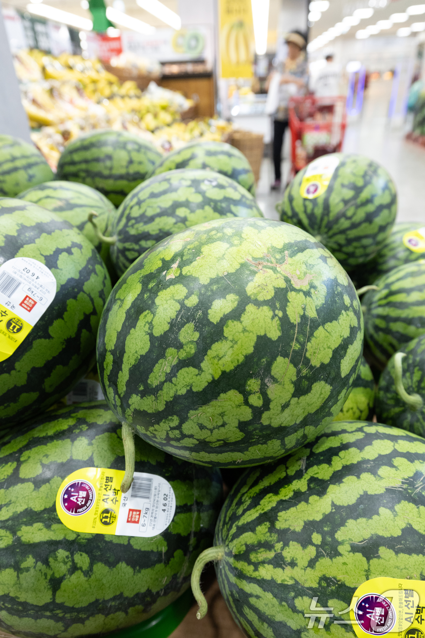 (서울=뉴스1) 이승배 기자 = 최근 폭염 여파로 일부 농산물 가격이 크게 오르고 있다. 생육 부진과 수요 증가까지 맞물리면서 일부 품목은 1년 전과 비교해 40% 이상 올랐다. …