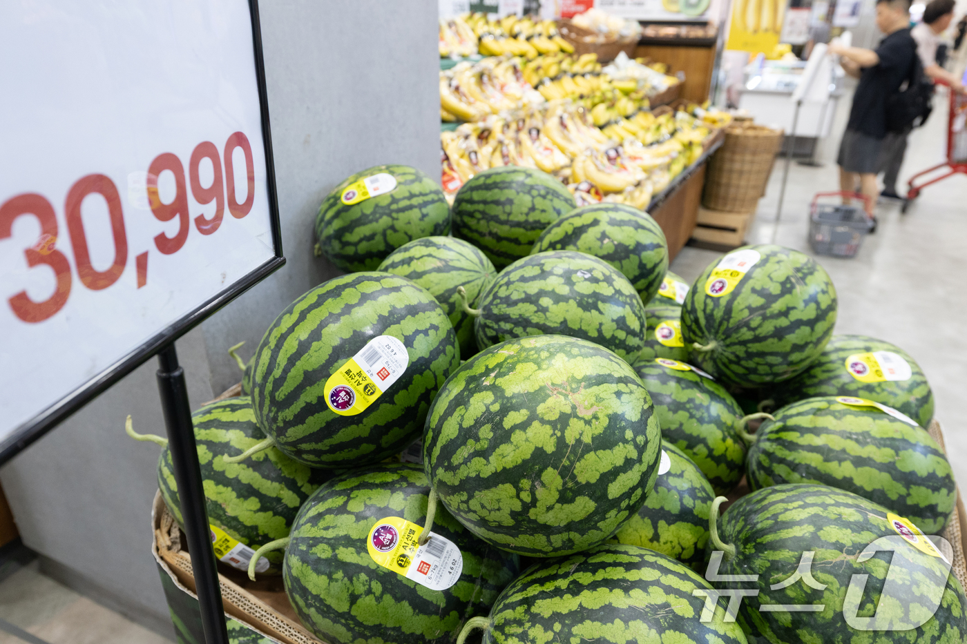 (서울=뉴스1) 이승배 기자 = 최근 폭염 여파로 일부 농산물 가격이 크게 오르고 있다. 생육 부진과 수요 증가까지 맞물리면서 일부 품목은 1년 전과 비교해 40% 이상 올랐다. …