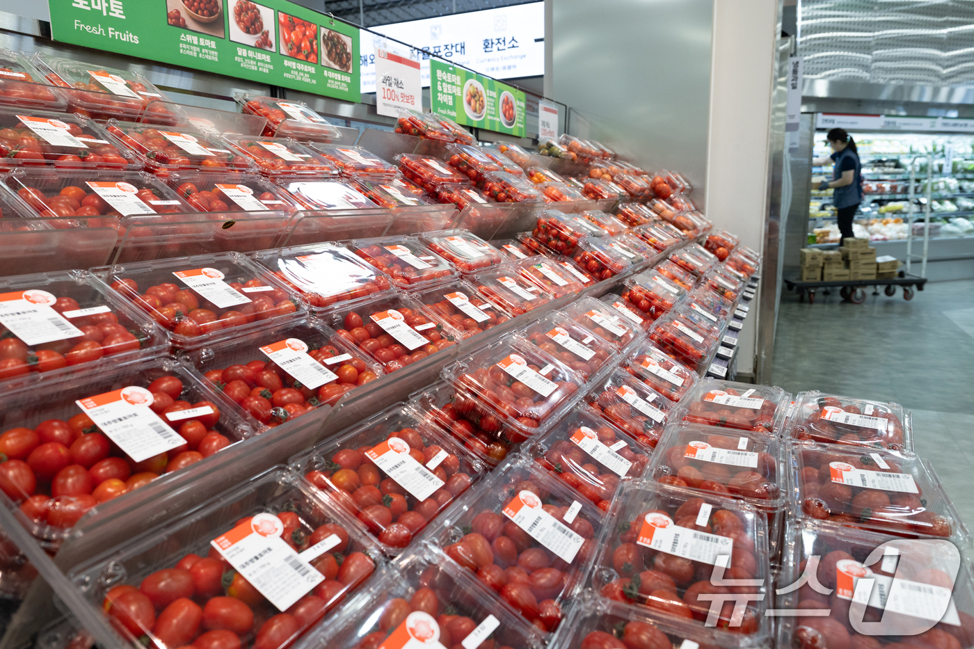 (서울=뉴스1) 이승배 기자 = 최근 폭염 여파로 일부 농산물 가격이 크게 오르고 있다. 생육 부진과 수요 증가까지 맞물리면서 일부 품목은 1년 전과 비교해 40% 이상 올랐다. …