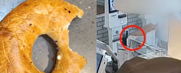 제주 카페의 봉변…"맛 왜 이래? " 베이글 던진 손님, 접시까지 휙[영상]