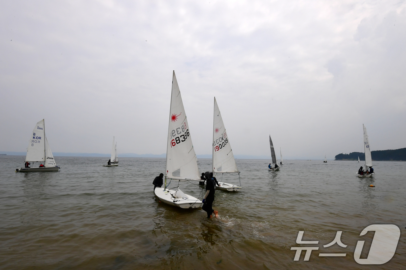 (포항=뉴스1) 최창호 기자 = 3일 오후 경북 포항시 북구 흥해읍 죽천리 해수욕장에서 '제8회 대한민국 대학생 요트 대제전'에 참여한 선수들이 본 대회를 앞두고 연습을 하고 있다 …