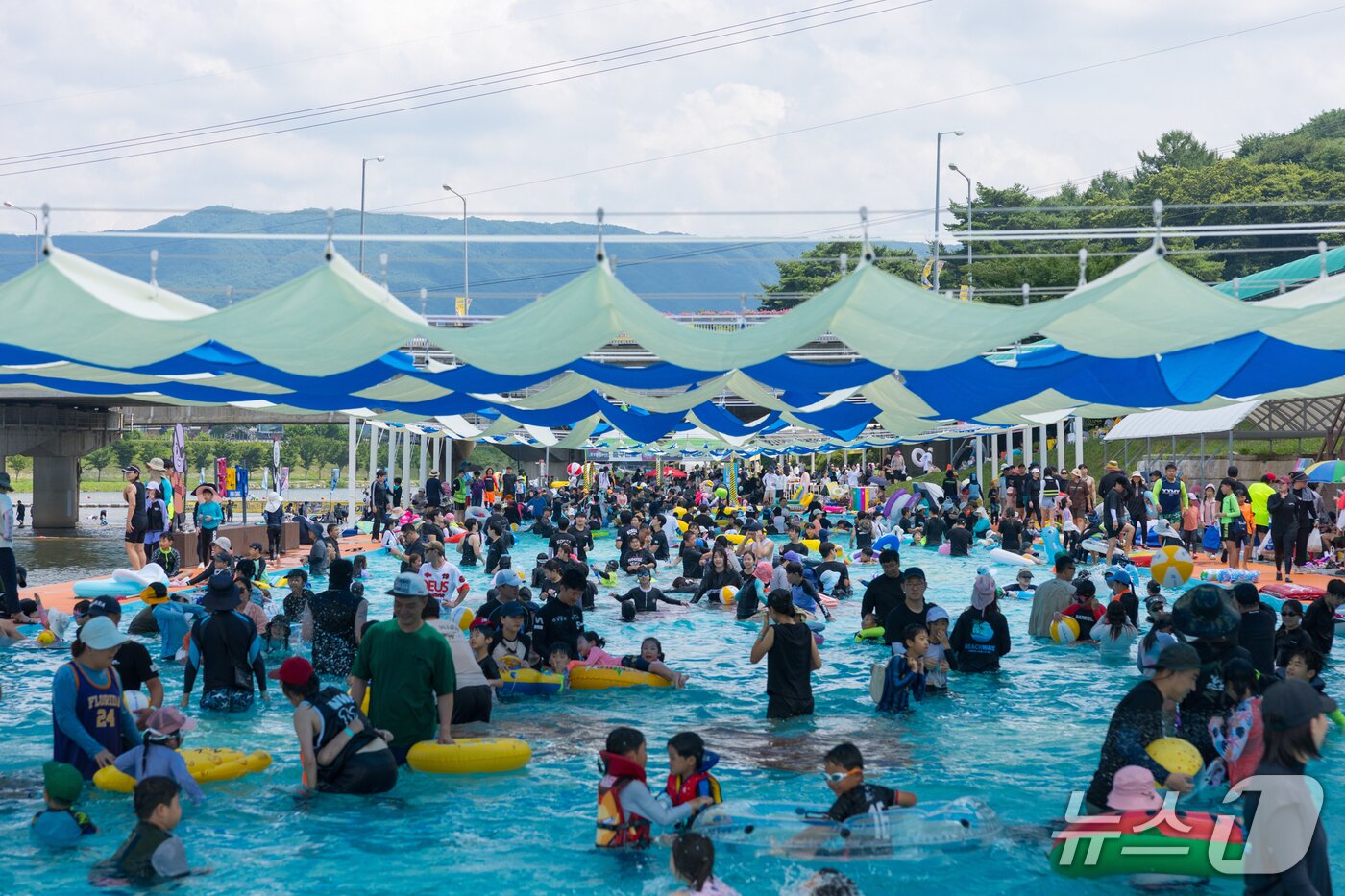본문 이미지 - 지난달 31일 개막한 제19회 강원 철원 화강 다슬기 축제가 3일 막을 내렸다. 이번 축제기간 30만 명의 방문객이 축제장을 찾아 '황금 다슬기 잡기' 등 프로그램을 즐겼다.(철원군 제공. 재판매 및 DB금지)/뉴스1