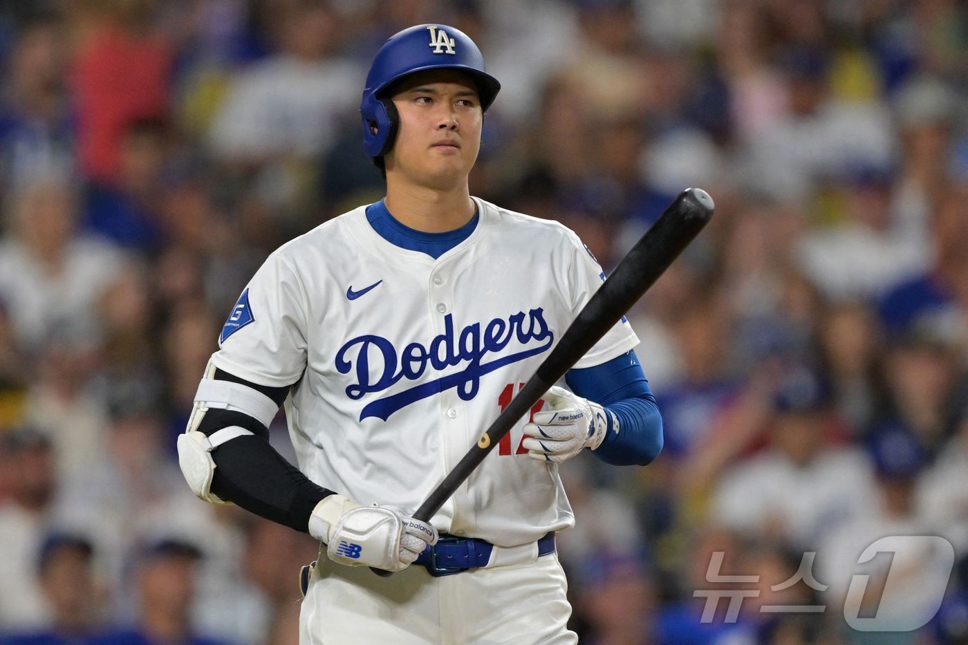 본문 이미지 - 오타니 쇼헤이(LA 다저스). ⓒ AFP=뉴스1