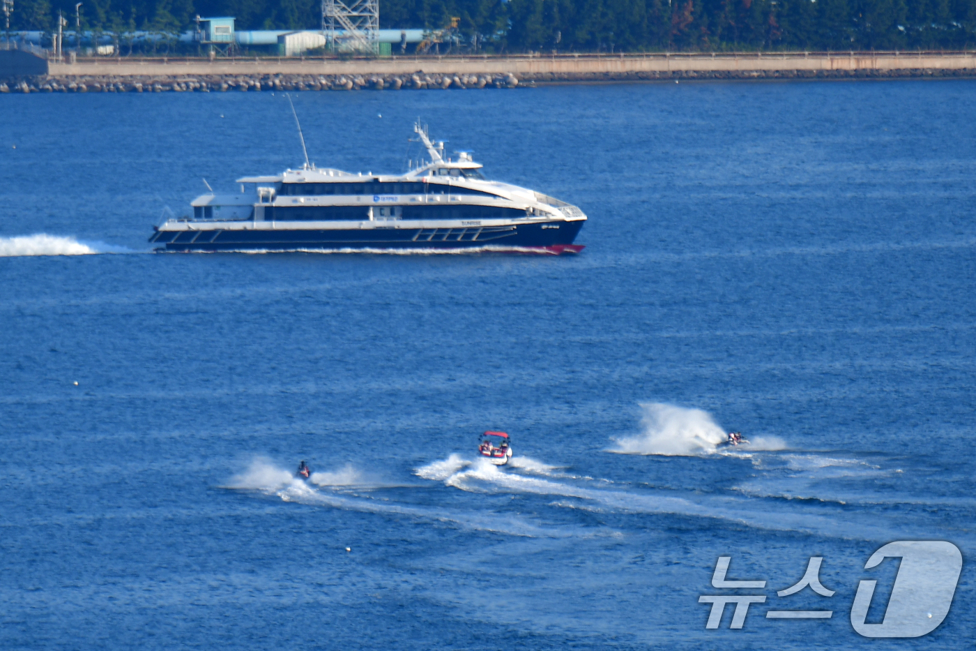 (포항=뉴스1) 최창호 기자 = 30일 오후 경북 포항~울릉간 정기여객선사인 대저페리의 썬라이즈호가 포항여객선미널로 들어오고 있다.대처페리측은 지난 29일부터 엘도라도 익스프레스호 …
