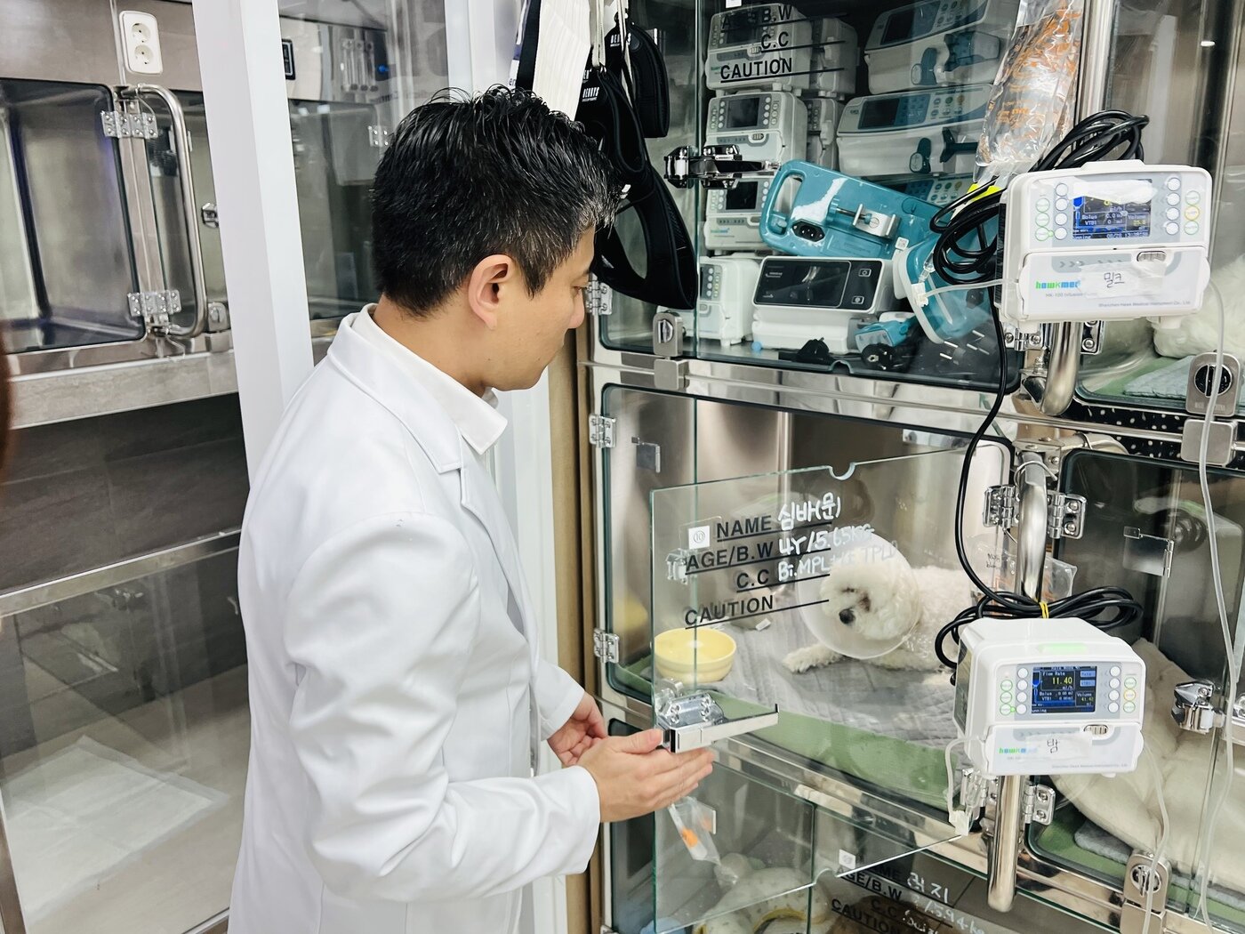 본문 이미지 - 이민수 원장이 최근 십자인대 단열과 슬개골 탈구 수술 후 회복 중인 반려견을 살펴보고 있다. ⓒ 뉴스1