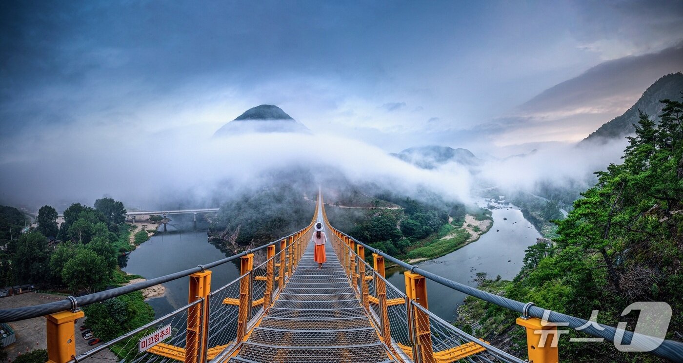 본문 이미지 - 금산 월영산 출렁다리(충남도 제공) /뉴스1