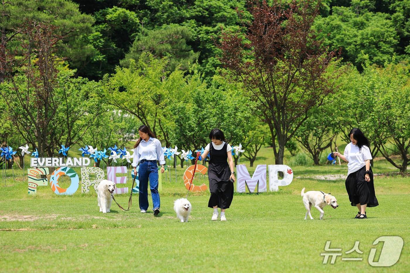 본문 이미지 - 반려견 동반 힐링 산책 '멍하니 걷개' 프로그램을 1일부터 예약을 진행한다. (에버랜드 제공)
