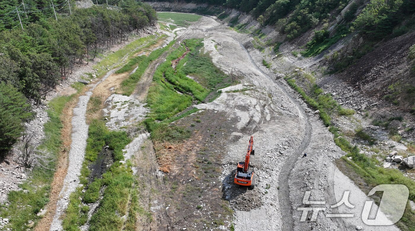 본문 이미지 - 31일 강원 강릉시 주요 상수원인 오봉저수지 상류에서 한 관계자가 포크레인으로 물길을 내고 있다. /뉴스1