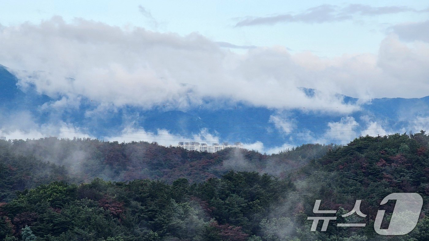 (포항=뉴스1) 최창호 기자 = 비가 그친 4일 오전 경북 포항시 하늘 위로 낮은 구름이 떠다니고 있다.   2025.8.4/뉴스1