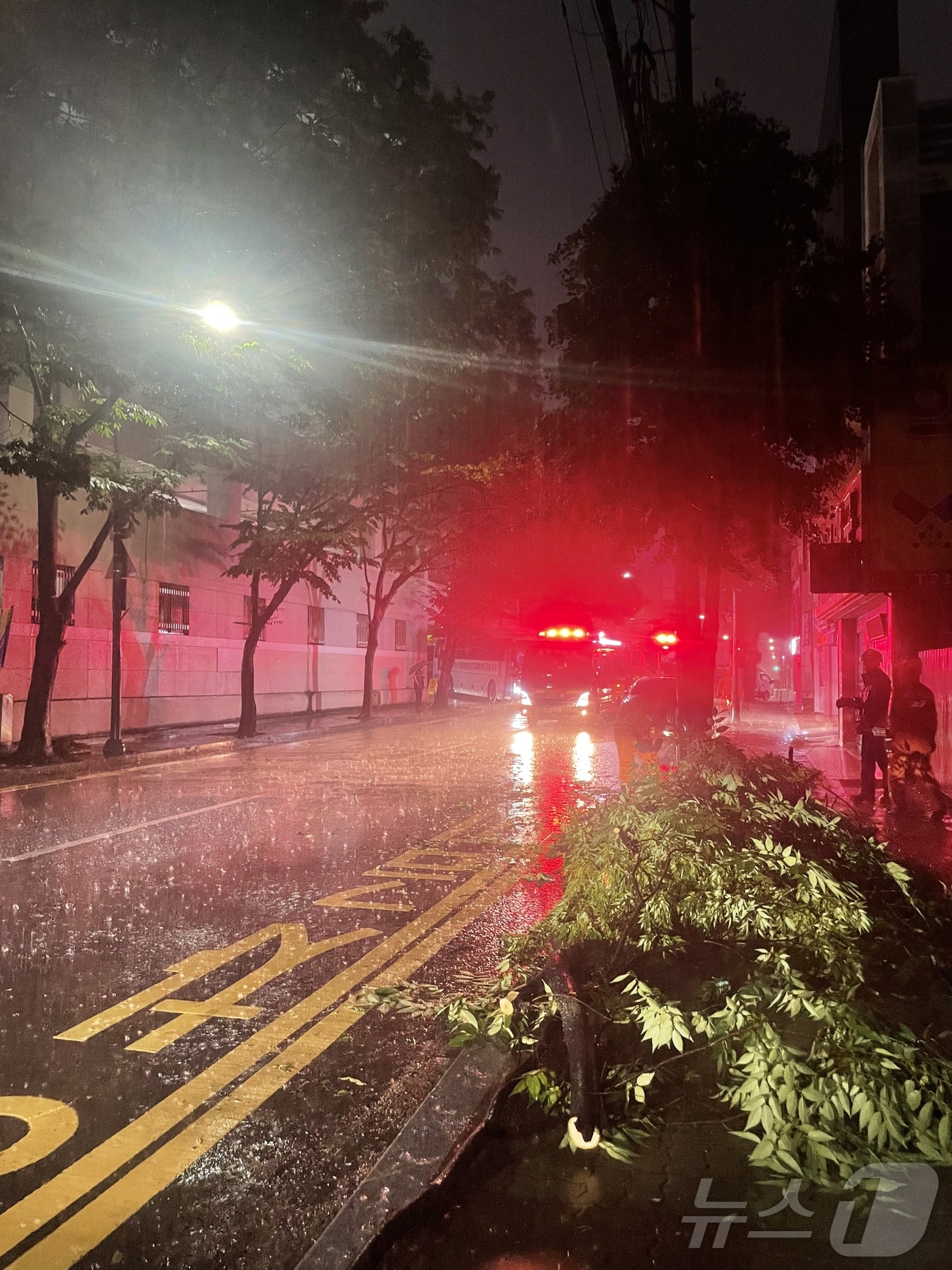 (광주=뉴스1) 이승현 기자 = 폭우가 내린 지난 3일 오후 광주 동구 학동 전남대학교병원 일방로에 나무가 쓰러져 있다. (동구 제공. 재판매 및 DB 금지) 2025.8.4/뉴스 …