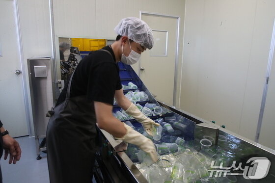 본문 이미지 -  우도 다회용기 세척센터에서 수거한 다회용기를 1차 세척하고 있다./뉴스1