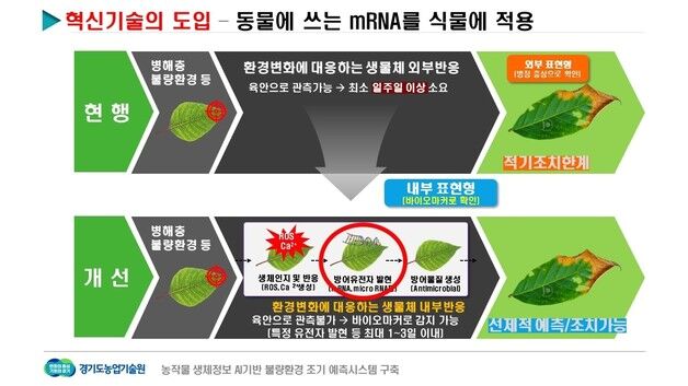 '기상이변 작물 피해' AI 기술로 사전 예측…경기도, 시스템 개발 착수