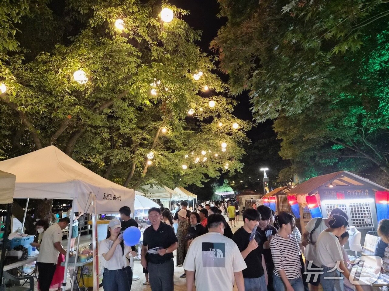 본문 이미지 - 안동 월영교에 축제 인파들이 몰려들어 밤을 즐겼다.(안동시 제공.재판매 및 DB 금지)2025.8.5/뉴스1