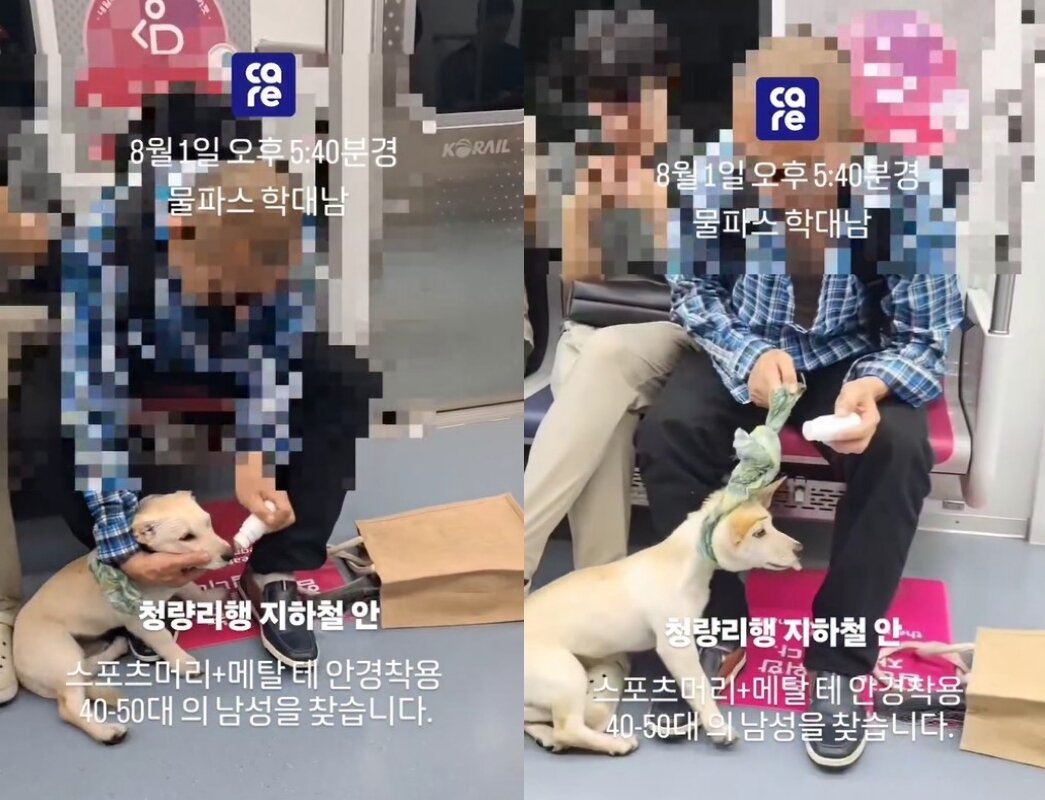 본문 이미지 - &#40;&#39;동물권단체 케어&#39;&#41;