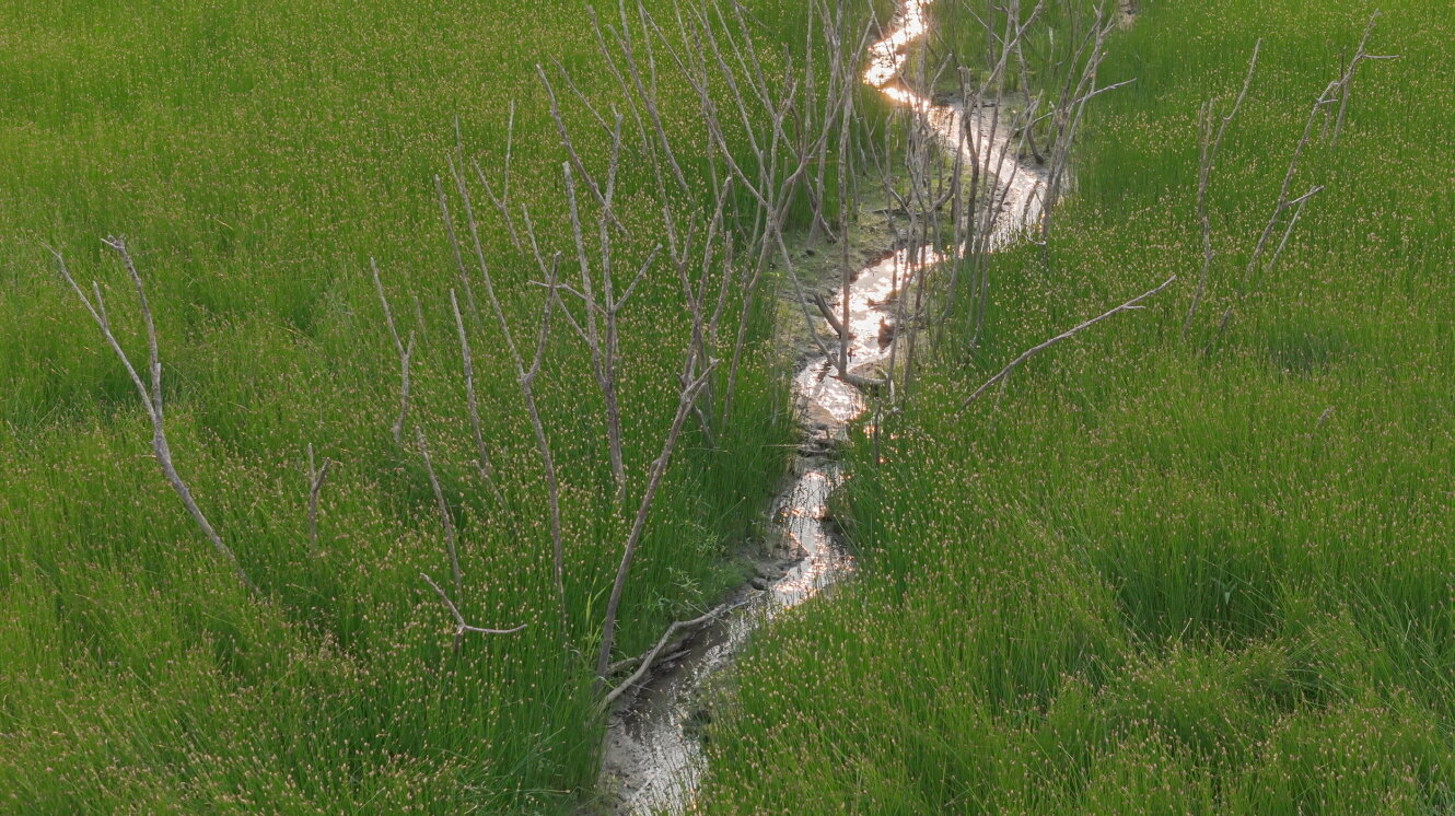 본문 이미지 - 소수빈, 우리 공동의 미래_지속가능한 살림살이(청주시 제공. 재판매 및 DB금지)./뉴스1